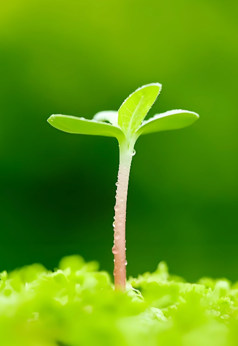 启程于微末  成就于宏大